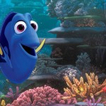 dory-hero-image