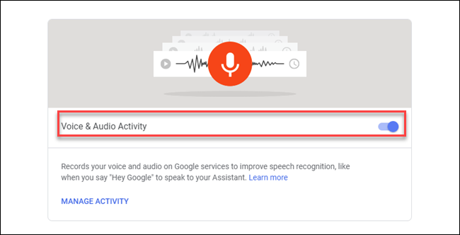 Voice & Audio Activity dialog with box around toggle