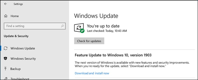 Choice to install a feature update in Windows Update