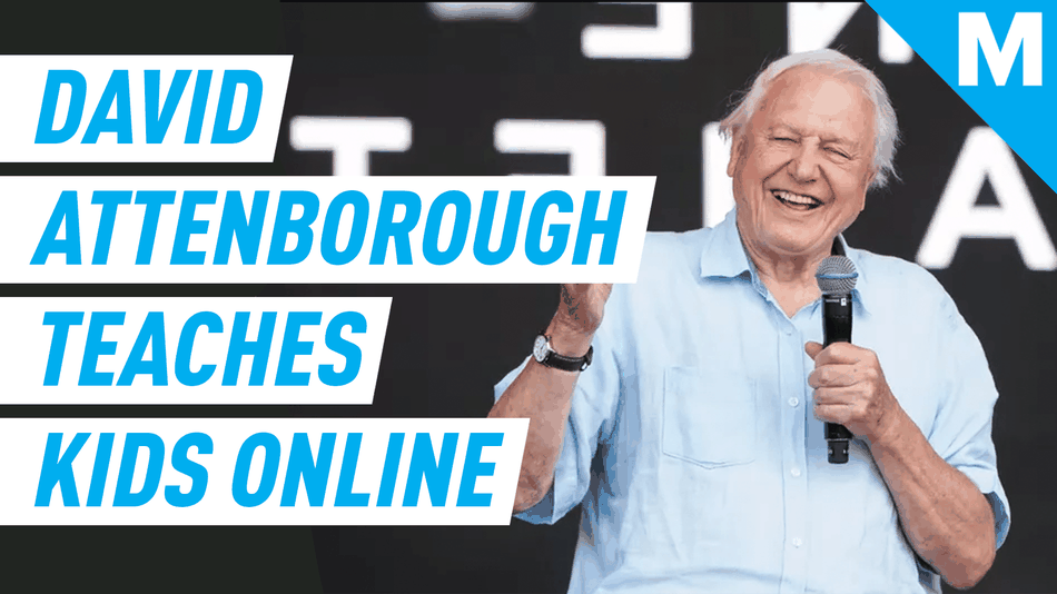 David Attenborough is giving virtual geography lessons to kids at home