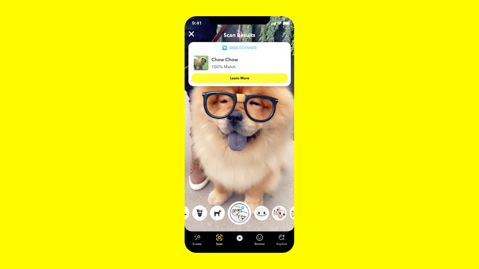 Now you can identify plants and pooches right in Snapchat