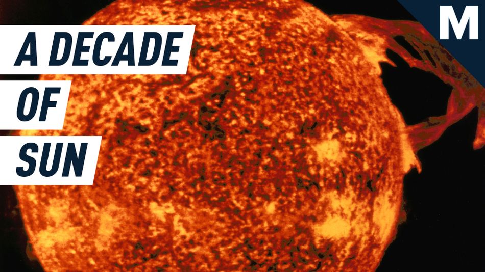 What NASA’s spectacular 10-year timelapse of the sun can teach you