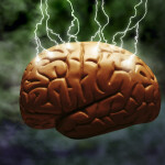 Lightning brain