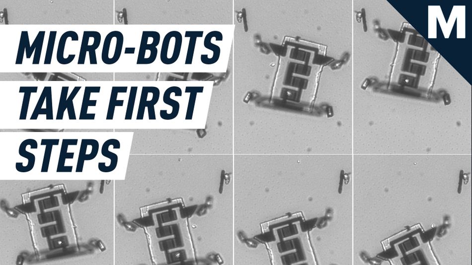 Aided by teeny platinum legs, these microscopic robots are marching into the future