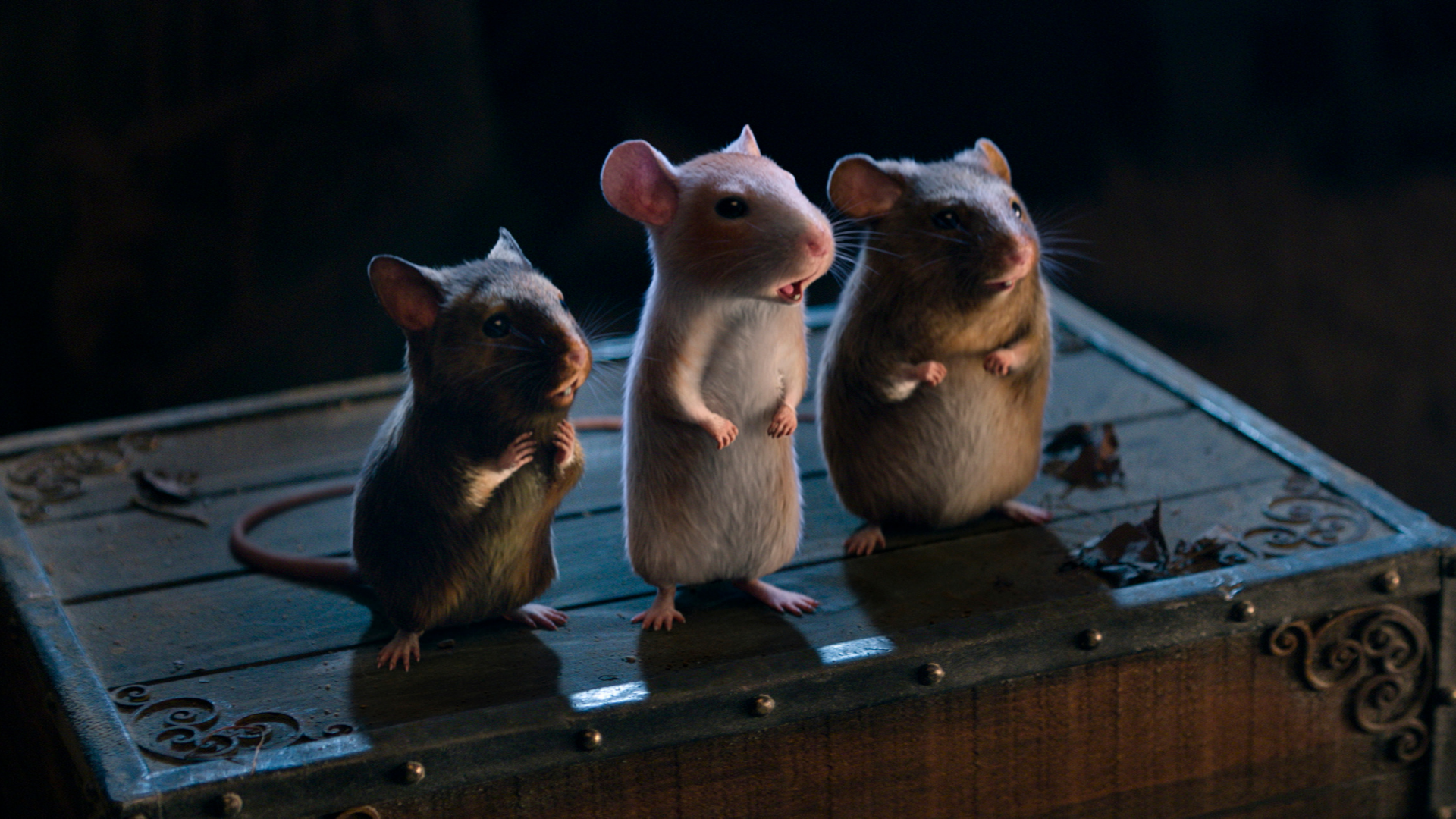 Also, the mice look very weird. Right?