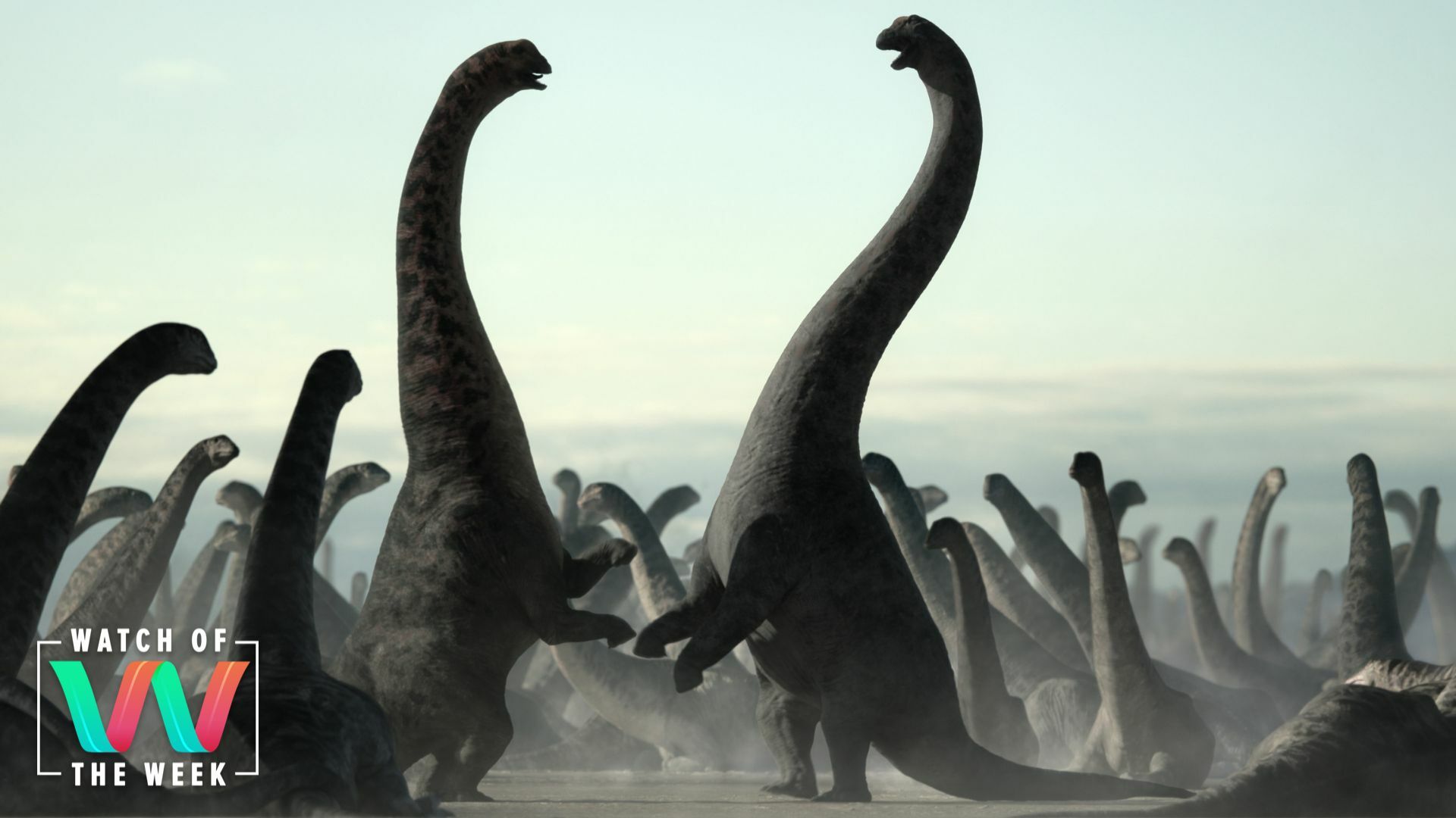 Two long-necked Dreadnoughtus dinosaurs stand on their hind legs to fight.