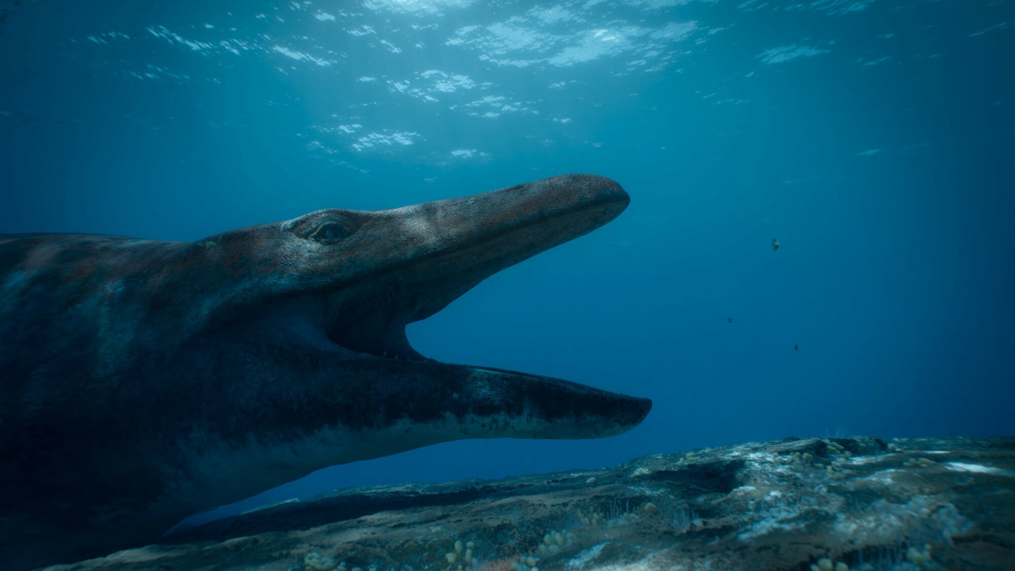 A large reptilian Mosasaurus opens its mouth underwater.